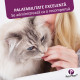 Pet Phos Felin Pelage Ceva - Supliment Pentru Pisici 3x12 Tablete